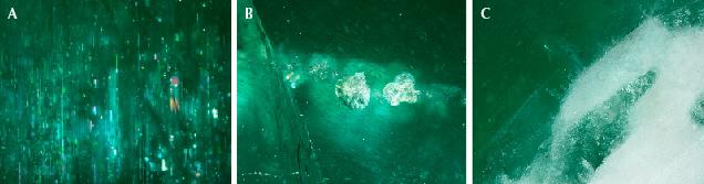 Figure 2. Inclusions observed in the large cat’s-eye emerald. A: Rain-like inclusions; field of view 2.18 mm. B: Unknown whitish granular flake-like inclusions; field of view 5.70 mm. C: Aggregates of tiny whitish feldspar crystals confirmed by Raman spectroscopy; field of view 3.60 mm. Photomicrographs by Makoto Miura.
