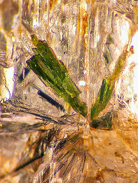 Figure 2. Aegirine inclusion showing sprays of acicular crystals in poudretteite rough from Mogok (darkfield and oblique fiber-optic illumination). Photomicrograph by Kyaw Thu; field of view 0.84 mm. Figure 2. Aegirine inclusion showing sprays of acicular crystals in poudretteite rough from Mogok (darkfield and oblique fiber-optic illumination). Photomicrograph by Kyaw Thu; field of view 0.84 mm.
