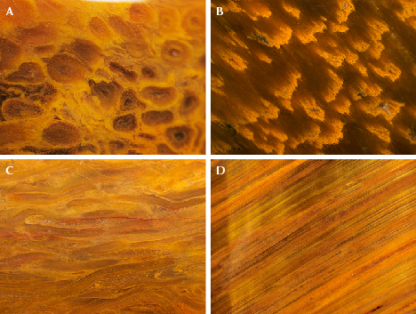 Four close-up images showcasing various textures and patterns in shades of orange and brown. Four close-up images showcasing various textures and patterns in shades of orange and brown.