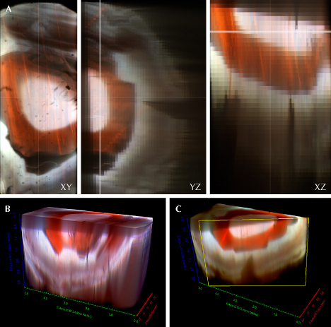 Three-dimensional imaging of a sample, showing cross-sectional views (XY, YZ, XZ) and 3D renderings (B, C) with varying color gradients. Three-dimensional imaging of a sample, showing cross-sectional views (XY, YZ, XZ) and 3D renderings (B, C) with varying color gradients.
