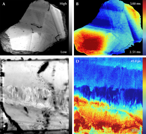 Four images showing different views of a sample: A and C in grayscale, B and D in color with varying time scales. Four images showing different views of a sample: A and C in grayscale, B and D in color with varying time scales.