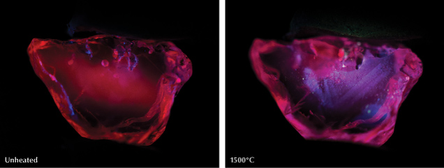 Figure 12. Left: A ruby sample tested by Hughes and Vertriest (2022) showed a strong red fluorescence in short-wave UV before heat treatment. Its appearance remained unchanged after heating to 600°, 750°, 900°, and 1100°C. Right: Zoned chalky fluorescence appeared following heating to 1500°C. From Hughes and Vertriest (2022). Figure 12. Left: A ruby sample tested by Hughes and Vertriest (2022) showed a strong red fluorescence in short-wave UV before heat treatment. Its appearance remained unchanged after heating to 600°, 750°, 900°, and 1100°C. Right: Zoned chalky fluorescence appeared following heating to 1500°C. From Hughes and Vertriest (2022).