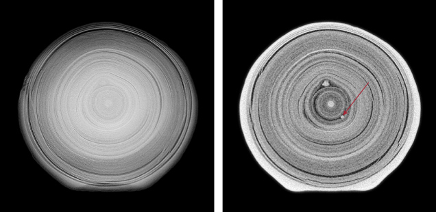 Figure 10. Compared to X-ray microradiography (left), additional fine details of a pearl’s internal growth structure such as small “seeds” (indicated by the arrow) can be detected by μ-CT (right). From Homkrajae et al. (2021b). Figure 10. Compared to X-ray microradiography (left), additional fine details of a pearl’s internal growth structure such as small “seeds” (indicated by the arrow) can be detected by μ-CT (right). From Homkrajae et al. (2021b).