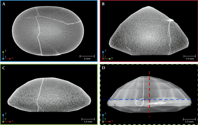 Four images of a specimen viewed from different angles, showing surface details and cracks. Scale bars indicate size. Four images of a specimen viewed from different angles, showing surface details and cracks. Scale bars indicate size.