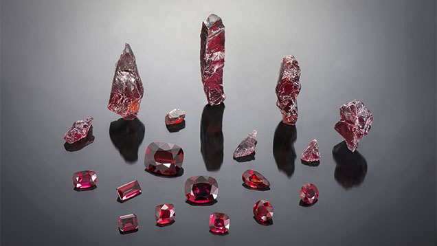 Faceted garnets (1.81–16.00 ct) along with rough fragments (largest piece is 12 g) from a new deposit in the Lao Cai province of northern Vietnam. Photo by Nuttapol Kitdee; courtesy of Precious Le Gems.