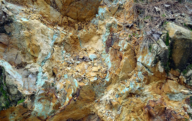 Figure 12. Turquoise mineralization in host novaculite at the Mona Lisa mine, facing south from the center of the trench. Photo by Thomas Paradise. Figure 12. Turquoise mineralization in host novaculite at the Mona Lisa mine, facing south from the center of the trench. Photo by Thomas Paradise.