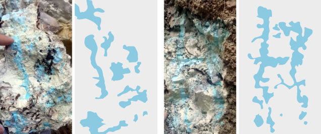 Figure 16. Mona Lisa turquoise precipitating within the chalky white weathered novaculite matrix. Photos taken in September 2019 from the deepest part of the trench facing the north side, shown along with corresponding seam diagrams. Photos courtesy of Avant Mining LLC; digitization by Thomas Paradise. Figure 16. Mona Lisa turquoise precipitating within the chalky white weathered novaculite matrix. Photos taken in September 2019 from the deepest part of the trench facing the north side, shown along with corresponding seam diagrams. Photos courtesy of Avant Mining LLC; digitization by Thomas Paradise.