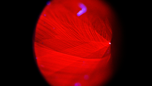 Diamond View Synthetic Diamond Diamond View Synthetic Diamond