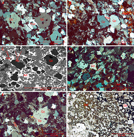 A thin section of dalmatian stone under magnification A thin section of dalmatian stone under magnification