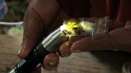 During a trip to Chanthaburi, a specialized light was used to examine the color and translucence of a gemstone. These are the kinds of skills that you’ll learn and that will make you a professional gemologist. During a trip to Chanthaburi, a specialized light was used to examine the color and translucence of a gemstone. These are the kinds of skills that you’ll learn and that will make you a professional gemologist.