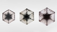 Three near-colorless transparent grossular garnet tablets with black inclusions arranged in snowflake-like patterns: 0.46, 0.68, and 1.00 ct, respectively. Photo by Shunsuke Nagai.