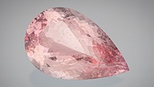 Figure 1. The 236.27 ct pear-shaped untreated morganite from old Madagascar stock was designed by Prakash Chand Vijay, who also oversaw the cutting. Photo by Robert Weldon. Courtesy of Blue Star Gems. Figure 1. The 236.27 ct pear-shaped untreated morganite from old Madagascar stock was designed by Prakash Chand Vijay, who also oversaw the cutting. Photo by Robert Weldon. Courtesy of Blue Star Gems.