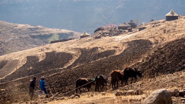 レソトのMaluti(マルチ)山地 レソトのMaluti(マルチ)山地