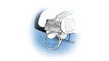 Working with Platinum: Tools and How To Avoid Contamination Working with Platinum: Tools and How To Avoid Contamination