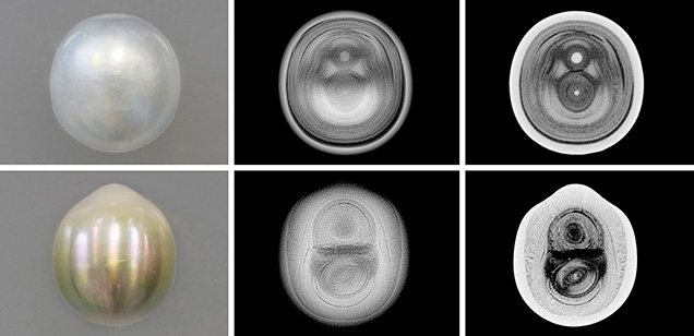 Macro images, RTX images, and μ-CT slices of cultured pearl Macro images, RTX images, and μ-CT slices of cultured pearl