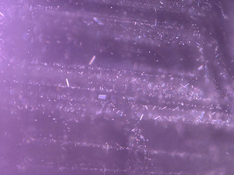 Figure 4. Oriented short needles in the spinel. Photomicrograph by Jinlin Wu; field of view 1.10 mm.