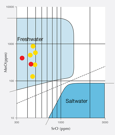 Plot of theoretical distribution of MnO vs. SrO in freshwater and saltwater pearls.