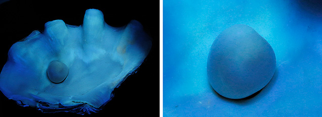Bangkok specimen’s reaction to long-wave UV exposure. Bangkok specimen’s reaction to long-wave UV exposure.