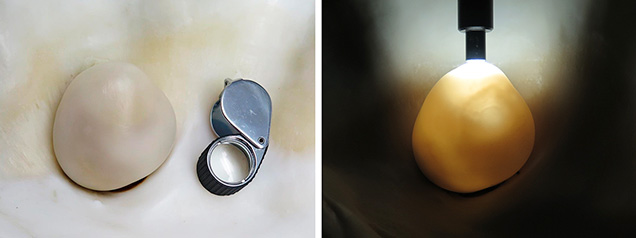 Bangkok blister pearl with two phases visible. Bangkok blister pearl with two phases visible.