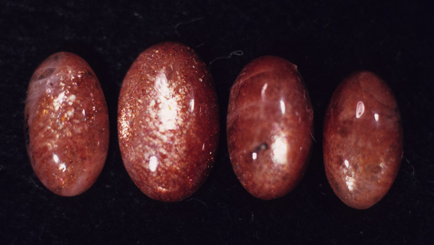 These oligoclase sunstone cabochons display an attractive aventurescent sparkle. – Edward Gubelin, courtesy Dr. Edward J. Gübelin Collection These oligoclase sunstone cabochons display an attractive aventurescent sparkle. – Edward Gubelin, courtesy Dr. Edward J. Gübelin Collection