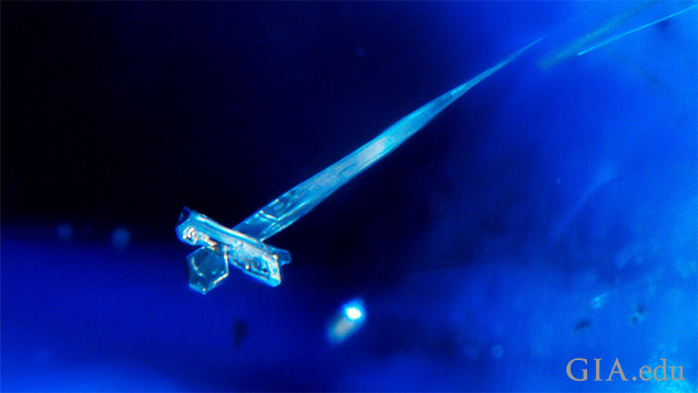 This platinum crystal inclusion in a synthetic sapphire shows a characteristic tapered morphology. This feature is diagnostic of flux growth, as in this Chatham synthetic sapphire. Field of view 1.72 mm. This platinum crystal inclusion in a synthetic sapphire shows a characteristic tapered morphology. This feature is diagnostic of flux growth, as in this Chatham synthetic sapphire. Field of view 1.72 mm.